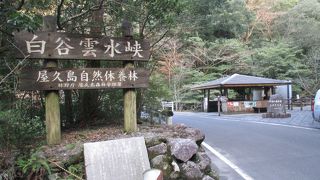 体力のなさを思い知らされました。