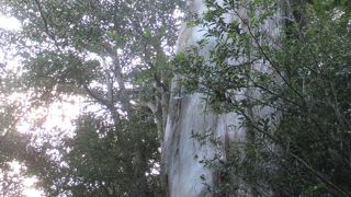 辿り着いただけで満足しました。