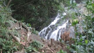 なかなか全体を見せない滝の様です。