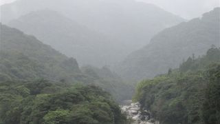 河口から少し遡ったところです。