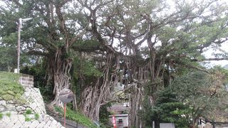 大きさに圧倒されます。