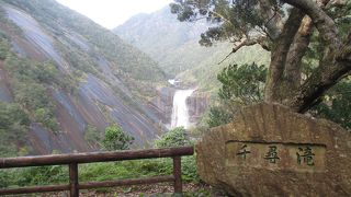 弛まざる自然の営みを感じました。