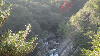 強いて見物する必要は？