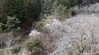 身延山　久遠寺　