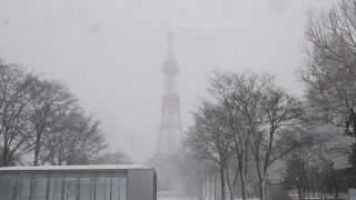 冬は雪だらけ。。。