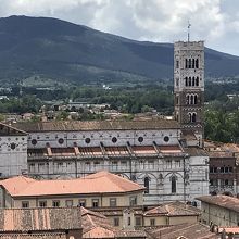 屋上から眺めた大聖堂
