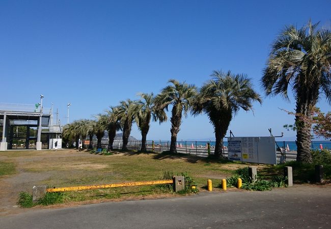 大浜公園 クチコミ アクセス 営業時間 静岡市 葵区 駿河区 フォートラベル 大浜公園 クチコミ アクセス 営業時間 静岡市 葵区 駿河区 フォートラベル
