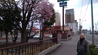 熱い鉄板にのったハンバーグ定食がおすすめ