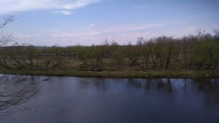 JR鉄道の車窓から、タンチョウヅルを何羽も見られました。