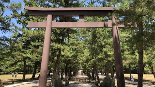 大国主大神を祀り、神無月には日本全国から八百万の神々が集まる由緒ある神社