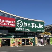 道の駅、伊豆へその隣にあります。