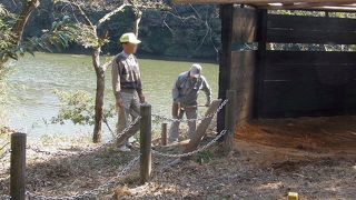 野鳥観察舎（ハイド）を作りました。