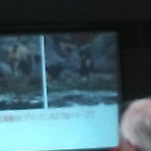 映像を利用したヒグマ解説などもとても勉強になりました