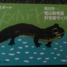 年間パスは2020年4月から値上げ予定なので、今のうちに！