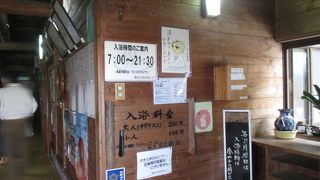 ふさふさとした毛並みのねこちゃんがたくさん居ました。