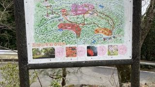 竹林寺観光で行きました！