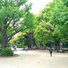 すごく広い By 腹巻君 上野恩賜公園のクチコミ フォートラベル すごく広い By 腹巻君 上野恩賜公園のクチコミ フォートラベル