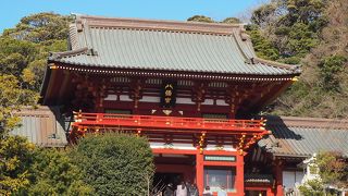 平日でも人が多い