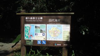 まったくの無人の海岸でした。