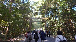 厳かな神域へ誘う玉砂利道