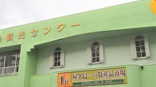 朝８時から開いていました。