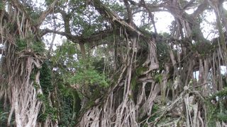 下を自動車が通れます。