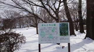 ぎんどろ公園