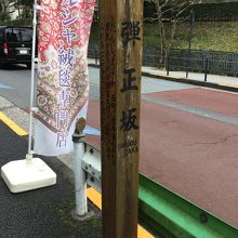 道沿いにはペルシャ絨毯のお店が