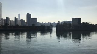 浜離宮から東京湾を見学