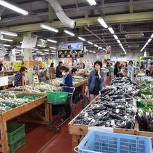 沖縄野菜、普通の野菜、いろいろあった