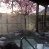 露天からちょうど河津桜が見える気持ちよいお風呂。