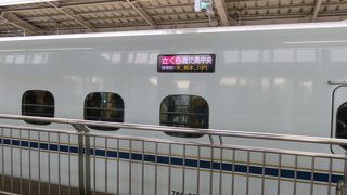 さくらはゆったりお気に入り