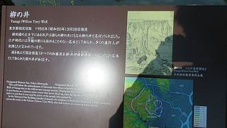 遠巻きにしか見えないです