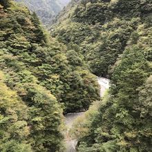 橋の上から