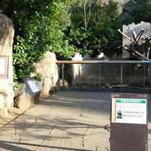 冬は見られない動物も多いです