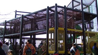 （再訪）冬は動物が少なめです