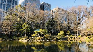 藤棚のベンチに座って雲形池を眺める
