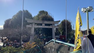 毎月１日には骨董市が開催です