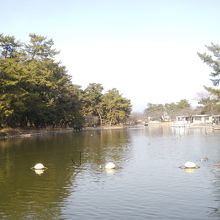 この公園の風景