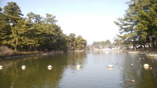 バラ園とスポーツ施設がある大きな公園