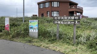 堅苦しい名前ですが気軽に楽しめます