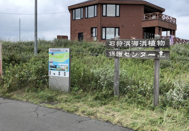 石狩浜海浜植物保護センター クチコミ アクセス 営業時間 石狩 当別 厚田 フォートラベル 石狩浜海浜植物保護センター クチコミ アクセス 営業時間 石狩 当別 厚田 フォートラベル