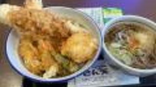 イオンモール与野のフードコートにある天ぷらチェーン店です。セットメニューがお勧めです。