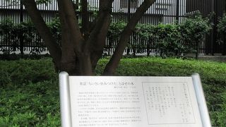 私が訪問したのは10月で、紅葉にはまだほど遠い季節でした。