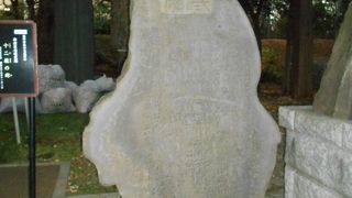 「熊野神社」の境内にあります