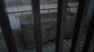 「熊野神社」の境内にあります