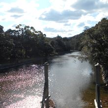 宇治橋下の五十鈴川
