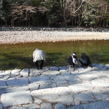 五十鈴川御手洗場