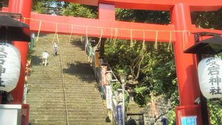 登る時々で違う 出世の階段