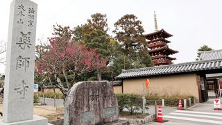 写経をおさめる方は無料で参拝できます